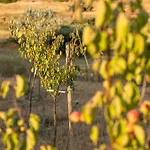 Harites - Sea View A Adamantas (Milos)